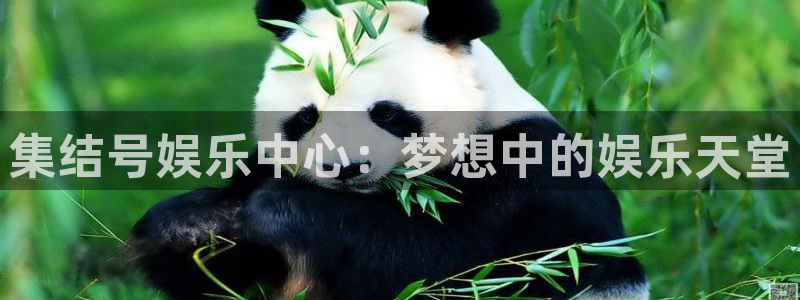尊龙凯时人生就是搏官网登录