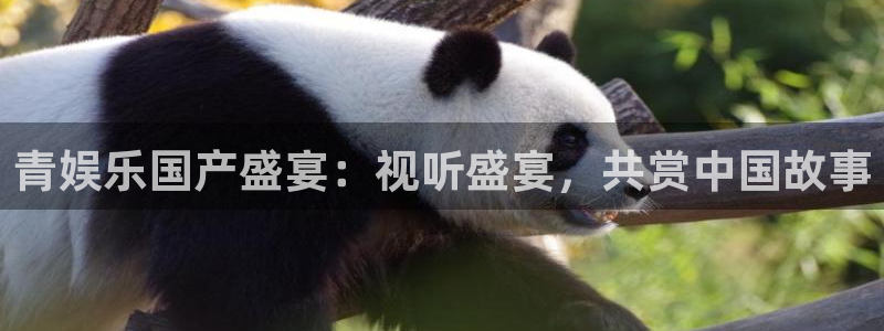 尊龙凯时人生下载官网