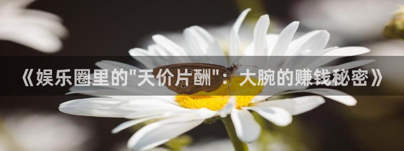 尊龙时凯产品价格多少