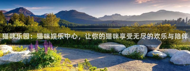 尊龙时凯产品价格多少