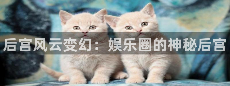 尊龙app手机版官网