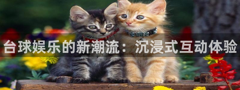 尊龙凯时人生就是搏官网