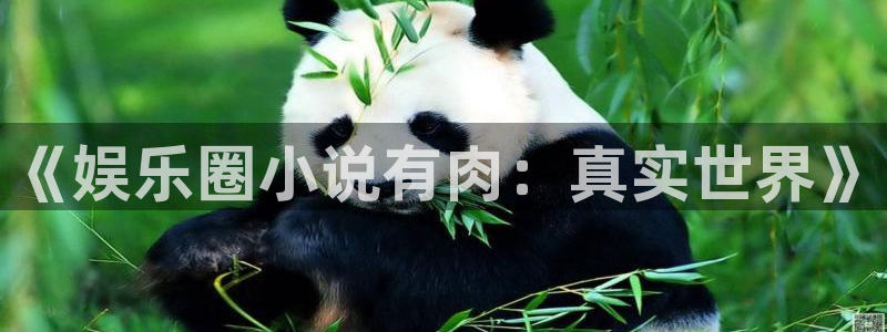 尊龙凯时官网入口：《娱乐圈小说有肉：真实世界》