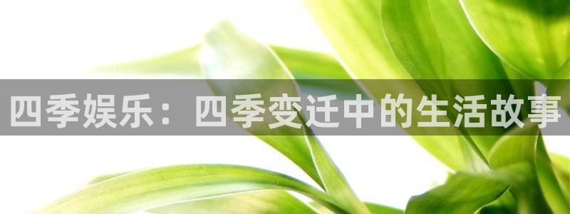 尊龙中国官网入口：四季娱乐：四季变迁中的生活故事