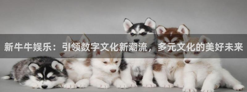 尊龙凯时平台信誉怎样：新牛牛娱乐：引领数字文化新潮流，多元文化的美好未来
