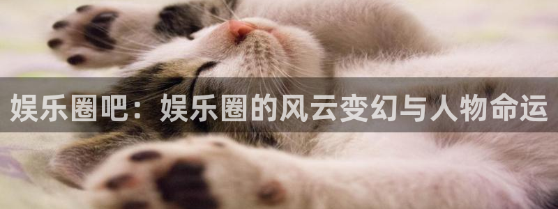 尊龙凯时平台怎么样：娱乐圈吧：娱乐圈的风云变幻与人物命运