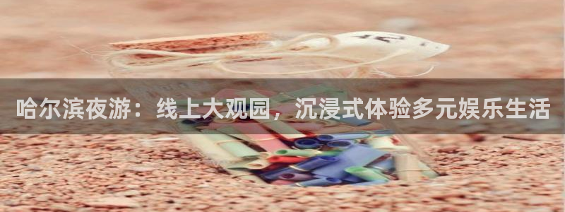 尊龙开始凯时人生就是博：哈尔滨夜游：线上大观园，沉浸式体验多元娱乐生活