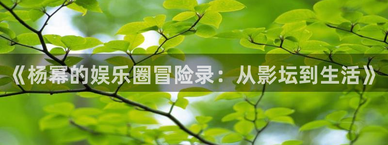 尊龙凯时中国官网：《杨幂的娱乐圈冒险录：从影坛到生活》