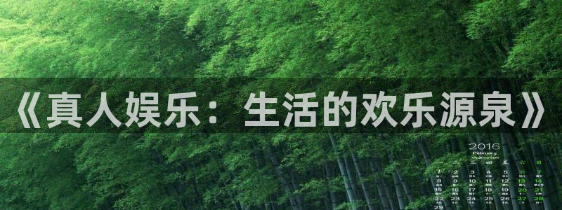 尊龙凯时人生官网：《真人娱乐：生活的欢乐源泉》