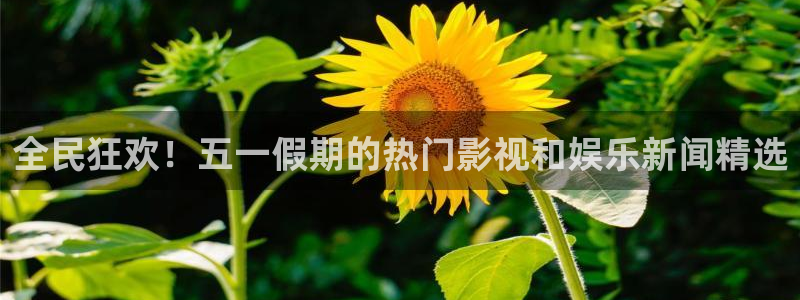 z6com·尊龙(中国)时凯：全民狂欢！五一假期的热门影视和娱乐新闻精选