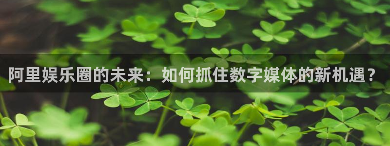 尊龙凯时一人生就是博：阿里娱乐圈的未来：如何抓住数字媒体的新机遇？