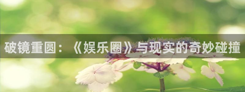 凯时尊龙ag旗舰厅：破镜重圆：《娱乐圈》与现实的奇妙碰撞