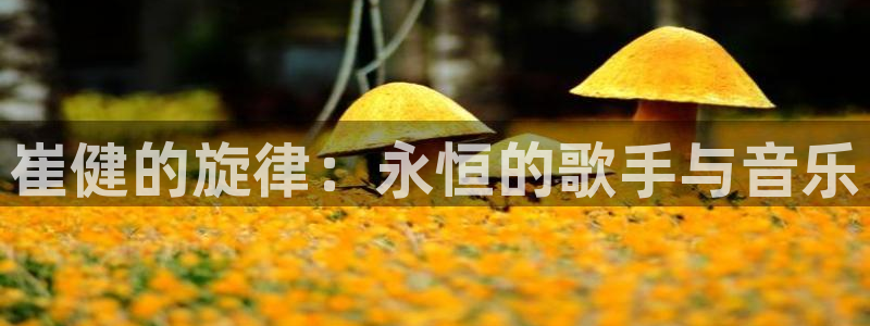 尊龙凯时人生下载官网：崔健的旋律：永恒的歌手与音乐